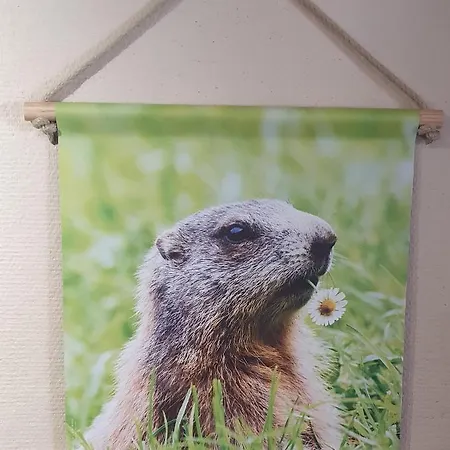 Hotel Les Deux Cols Sainte-Marie-de-Campan