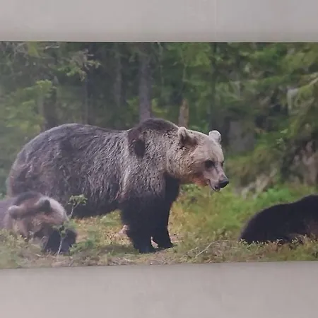 Les Deux Cols Sainte-Marie-de-Campan